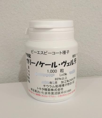 【カリーノケール・ヴェルデ-生産者様向け大容量種子】ケールのタネ (1,000粒(Lコート))