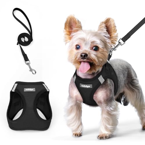 rabbitgoo Harnais Chien Petite Taille avec Laisse Réfléchissant, Harnais Chiot en Maille Souple, Gilet Réglable Facile à Mettre, Arnet pour Chien Petit et...