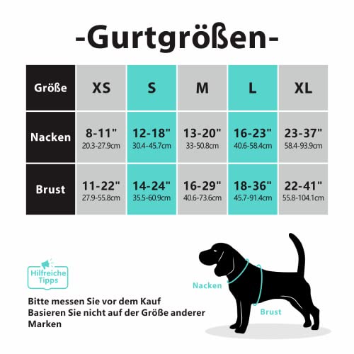 PoyPet No Pull Hundegeschirr, reflektierendes Westengeschirr mit 2 Leinenbefestigungen und einfachem Steuergriff für kleine mittelgroße Hunde (Rosa, M (1er Pack))
