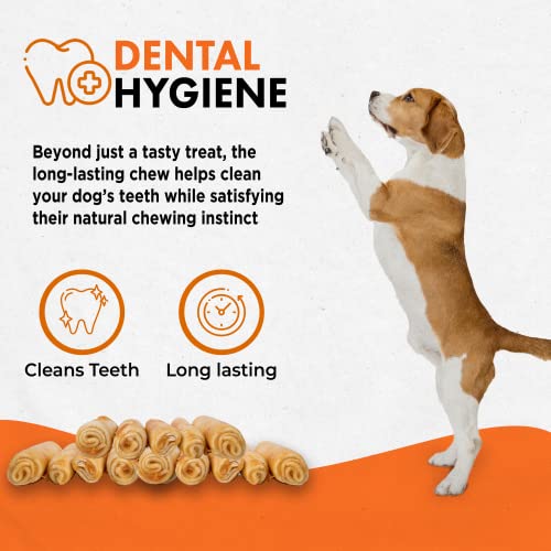 Canine Naturals Chicken Recipe Chew - Rawhide Free Dog Treats - Made from USA Raised Chicken - All-Natural and Easily Digestible - 5 Pack of 7 Inch Large Rolls for Dogs 50-75lb - Thumbnail 6