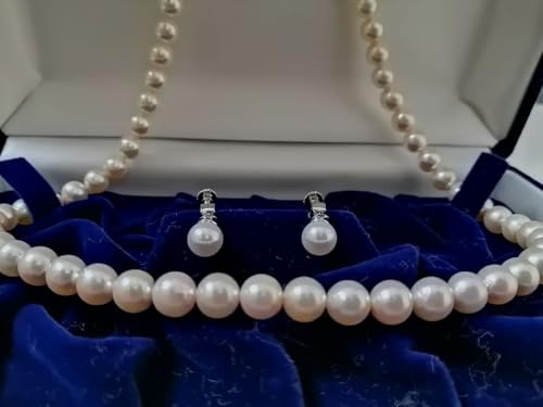 s^ lbNXECOZbg 6.5~t p[L[p[t