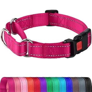 Joytale Martingale Collar for Dogs, Reflective Escape Proof Training Dog Collars with Safety Lock Buckle, No Slip Soft Nylon for Medium Pets, Hotpink, M