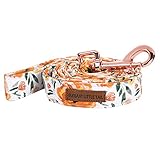 Elegant little tail Sunflower Print Strong Dog Leash, Girl or Boy Dog Leashes with Soft Handle...