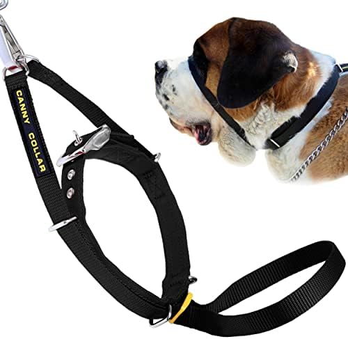 Canny Collar Dog Head Collar, No Pull Leash Training Head Harness, Easy to Fit Halter that Stops Pulling, Comfortable & Calm Control with Padded Collar, Kind To Your Dog, Enjoy Gentle Walks with Small, Medium or Large Dogs, Black, Blue, Purple & Red