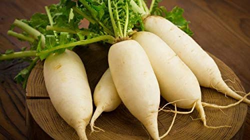 Creative Farmer Vegetable Seeds Daikon Seeds - Radish Seeds White IciclesHome Garden Seeds