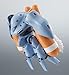 TAMASHII NATIONS - Mobile Suit Gundam 0080 War in The Pocket - MSM-03C HY-GOGG ver. A.N.I.M.E., Bandai Spirits The Robot Spirits Figure