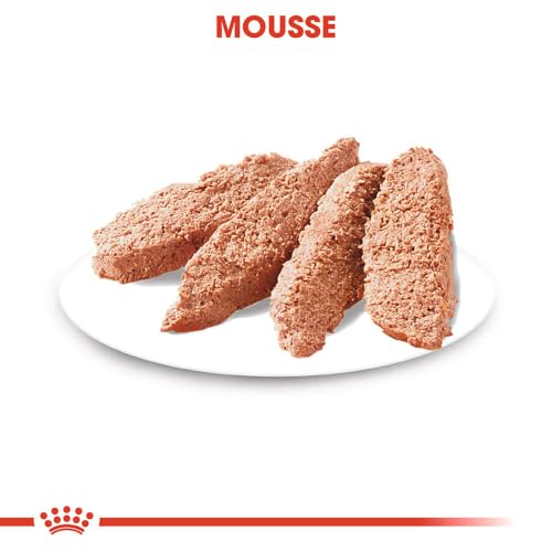 ROYAL CANIN Digestive Care Mousse für Hunde, Hundefeuchtnahrung – 12 x 85g