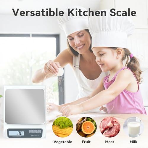 Cybergiant 13lb Precision Digital Food Scale