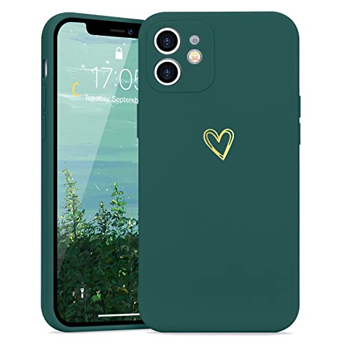 Lafunda Custodia iPhone 12 Verde