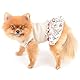 PAIDEFUL Hundeblumenkleid für Kleine Mittelgroße Hunde Katzen Mädchen Weiche Baumwollweste Rüschenrock Atmungsaktive Tanktops Welpen Chihuahua Yorkie Kleidung Haustier Frühling Sommer Trägt Beige S