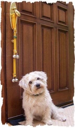 PoochieBells Dog Potty Training Doorbell, Merlot