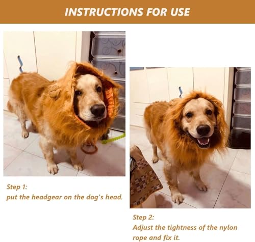 Löwenperücke Hund. Hundekostüm für Halloween und Karneval. Kostüme für, Mittlere oder Große Hunde. Haustierkostüm. Lass deinen treuen Freund den Karneval verzaubern.