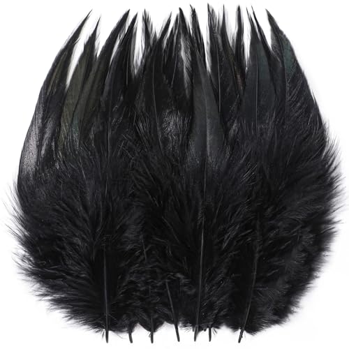 Holmgren Black Craft Feathers Bulk - 200pcs 5-7inch Rooster Feathers for DIY Crafts Dream Catcher and Halloween Holiday Party Costume Decorations (Black)