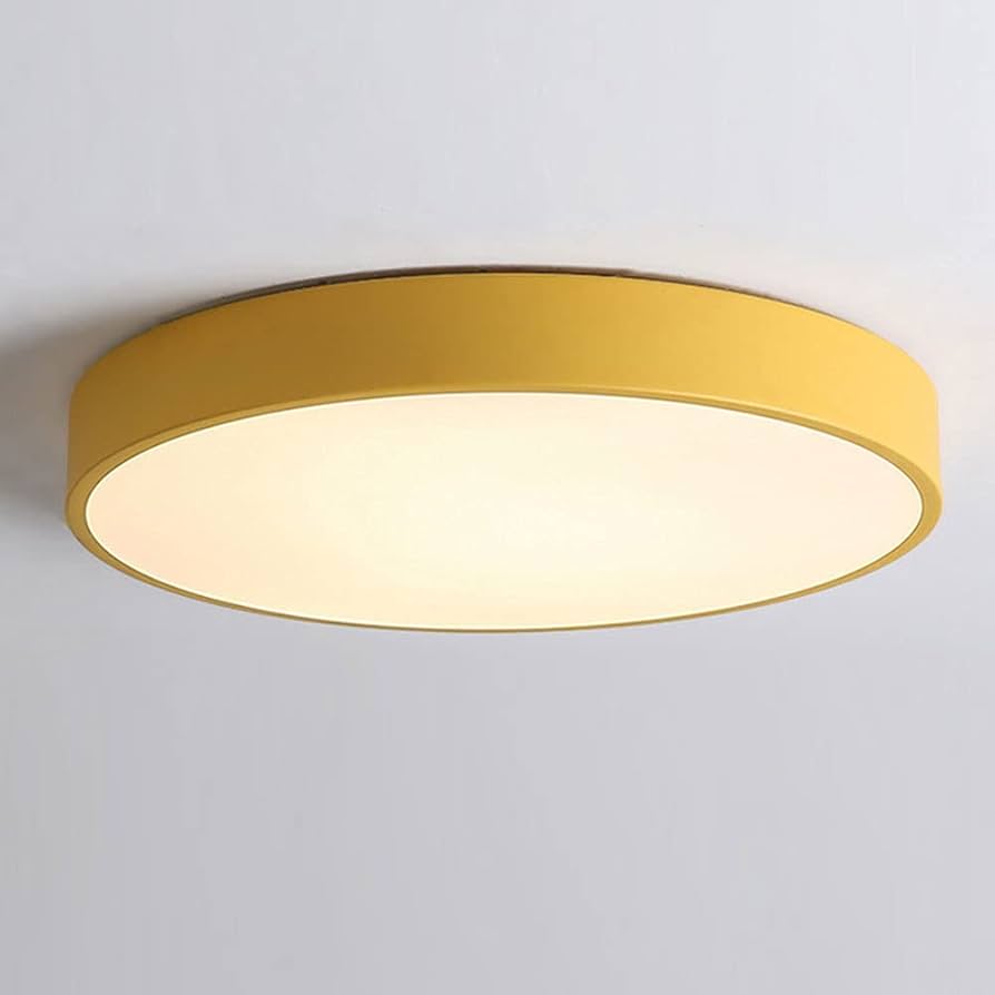 SHUANGZ LED Ceiling Lamp Round Ceiling Light Modern
