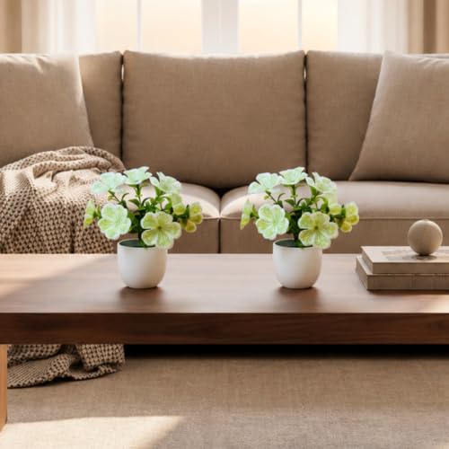 Image of fancymart Artificial Real Touch Flower Plant with Pot (Pack of 2), 16 cm Height, Decorative Faux Floral Plant for Home, Office, Living Room, Bedroom, Table & Shelf Decor
