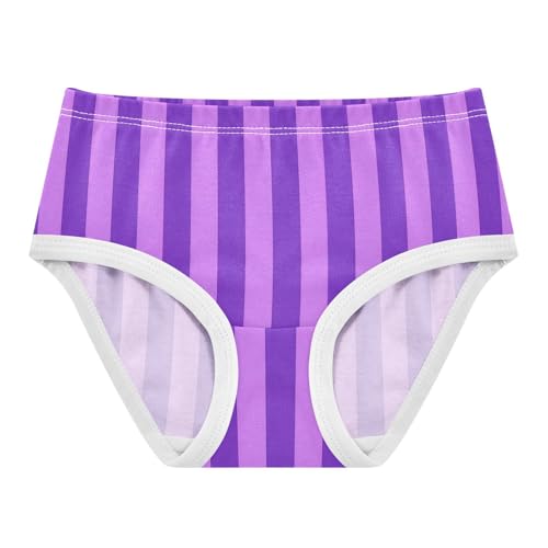 Purple Stripe Toddler Girls's Underwear 2T 2300888
