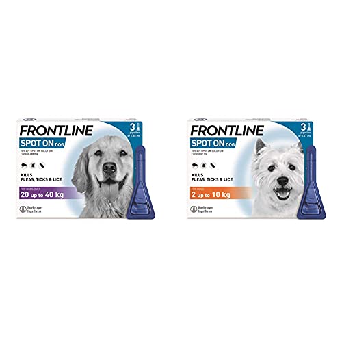 How long does it take bravecto to work on dogs