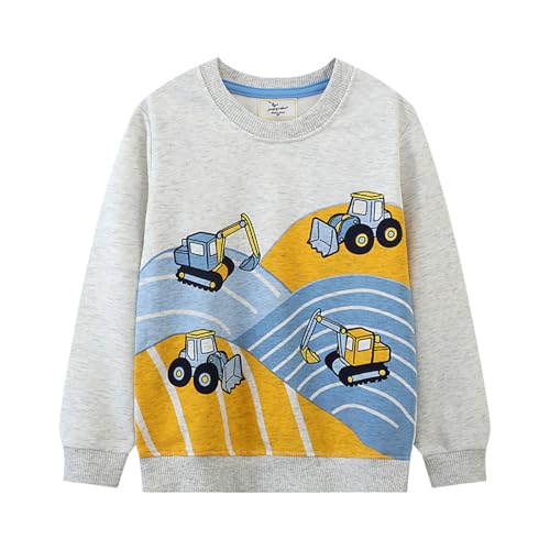 Boys Sweatshirts Casual Sweatshirts Cotton Sweatshirts Long Sleeve T-shirts Crew Neck Cartoon Tops for Boys-29