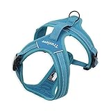 2.Handle sur le dos, tirant la formation de restriction poignée et la ceinture de sécurité de voiture insert zone avec un bon ajustement