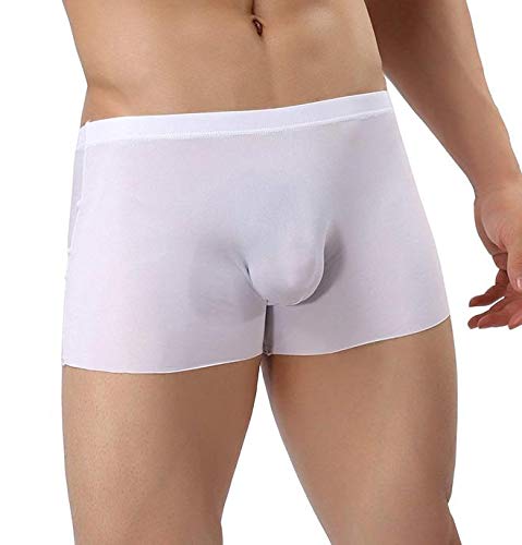 Men's Traceless Underwear Ice Silk Boxer Brief sexy see-through transparent briefs White M(US M = Asian Tag XXL) - Image 3