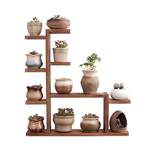 Echaprey Wood Plant Stand 4 Tier Tabletop Plant Stand Small Multi Tiered Plant Stand Wood Indoor Outdoor Decor for Succulents Pot (Carbonized Color)