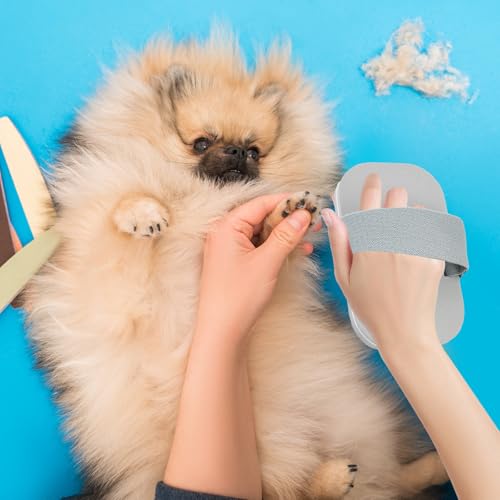 Nagelfeile, Hund Katzen Nagelfeile Board, Pfotenpflege, Hohe Qualität Krallenfeile, für Haustiere Hunde Katzen, Grau
