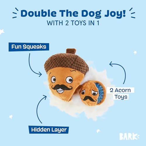 Image of BarkBox Monsieur Acorn 2-in-1 Interactive Plush Dog Toy | Squeaky Dog Chew Toy with Spiky Ball Inside - For Large Dogs and Puppies
