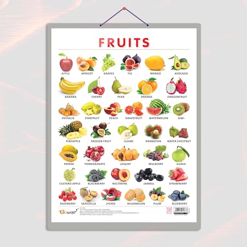 Image of FRUITS CHART HARD LAMINATED | Colorful Orchard: Durable Laminated Fruits Reference Chart