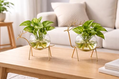 Image of Glass Planter Holder Deer Flower Pot,Round Vase Handmade for Home Decor - Center Table, Bedroom, Living Room and Office Decor Gold Design (Set of 2)