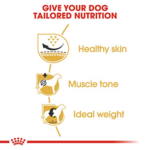 Image of Royal Canin Pug Adult Dry Dog Food 500 g
