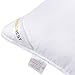 HARBOREST King Size Bed Pillows Set of 2 - Luxury Hotel Collection Down Alternative Pillows for Sleeping, 20 x 36 Inches