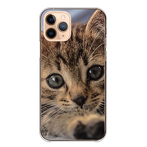 �X�}�z�P�[�X Galaxy S26 SC-51G SCG36 �M�����N�V�[ S26 �P�[�X �J�o�[ �n�[�h �n�[�h�P�[�X �L �˂� �ʐ^ ���� �J���[10