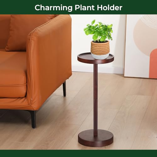 EVERBBKING Solid Acacia Wood Pedestal End Table - Small Round Martini Table