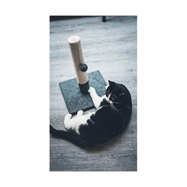Tyrol | Kratzbaum für Katzen, 42 cm | Kratzpfosten für Katzen aus Jute und strapazierfähigem Stoff mit Bommel | Kratzbaum in modernem Design Farbe Grau und Weiß | stabile Basis 30 x 30 cm – Bild 7