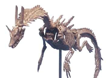 海竜ラギアクルス 化石フィギュア モンスターハンター モンハン モンスターハンター 海竜ラギアクルス 化石フィギュア｜ホビーの