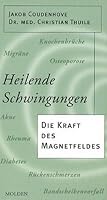 Heilende Schwingungen. Die Kraft des Magnetfeldes 3854850387 Book Cover