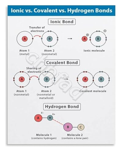 Chemistry Reference Poster Comparing Ionic Covalent and Hydrogen Bonds Educational Wall Chart for Students(Unframed,16x24inch(40