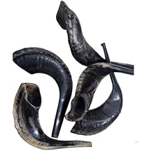 Authentic Natural Black Rams Ram Horn Shofar - Kosher Certified 10-12" - Includes Blowing Guide & Odor Neutralizer