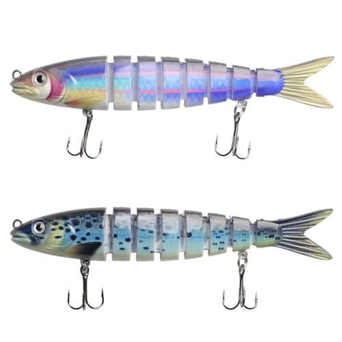 Aiokuo 2 Pcs Fishing Lures, Lifelike Swimbait for Freshwater and Saltwater Fishing, Soft Lure for Bass, Trout and Crappie