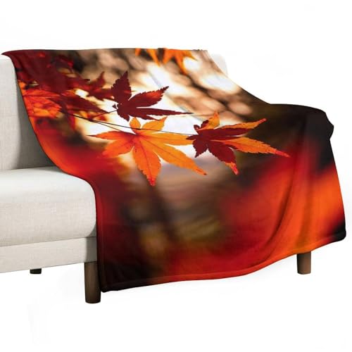 ѕz 唻 H [v̗t gt uPbg 150x200cm 60x80in  tl  􂦂  ӂӂ _炩ȔG zM RpNgł ӂy yĒg R hLH | ~ 