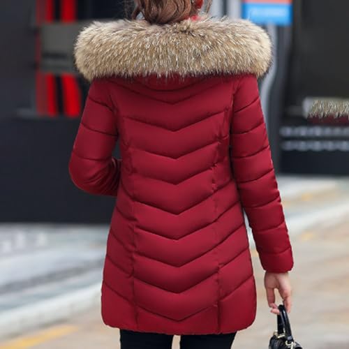 Abrigo de invierno acolchado para mujer chaqueta plumón corta ultraligera acolchada delgada con cremallera completa ropa cálida relleno plumas nico Termica Plumíferos - imagen 4