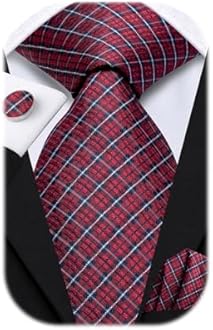 Dubulle Mens Paisley Striped Tie WOVEN Necktie for Men and Handkerchief Cufflinks Set Wedding Formal Business