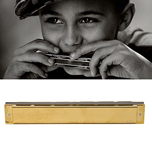Harmonica, C Key Harmonica 28 Trous Harmonica de Type Polyphonie à Large Gamme avec Plaque de Couverture en Acier… - Les Beatles, Paul McCartney, John Lennon, RIngo Starr, George Harrison Harmonica, C Key Harmonica 28 Trous Harmonica de Type Polyphonie à Large Gamme avec Plaque de Couverture en Acier… – Image 6
