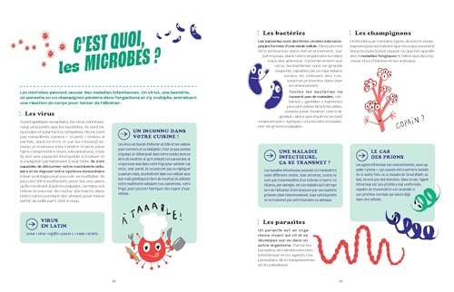 Virus, bactéries, microbes tout savoir pour y échapper – vue 5