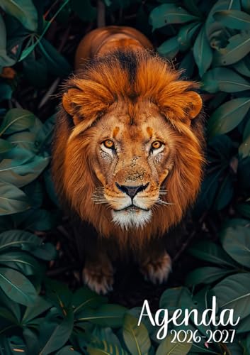 Agenda Scolaire 2026-2027: Lion | Journalier (une page par jour) | 12x17 cm | Format standard | Sept 2026 ? juil 2027 | Primaire