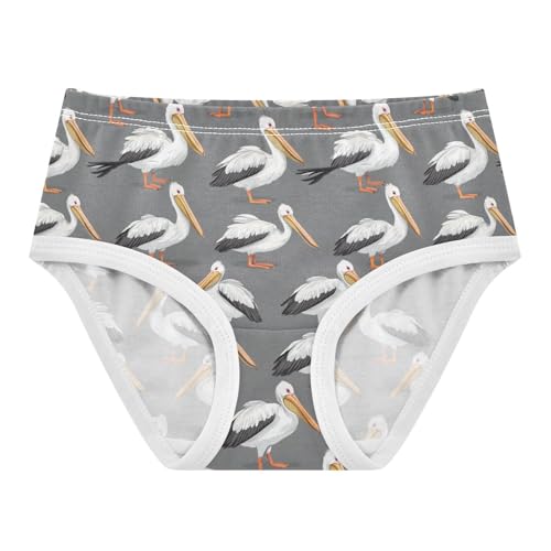 Girls Underwear Soft Cotton Pelicans Kids Panties in Sizes 2/3t, 4t, 5t, 6 and 8