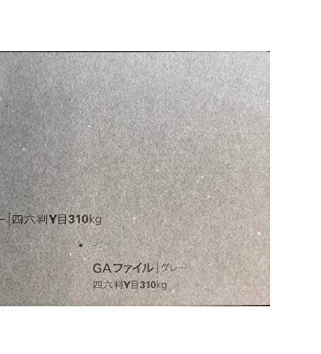 GAt@C O[ 310kg 0.5mm 䎆  XNbvubLO t@V[y[p[ H y䎆 (A4 30)
