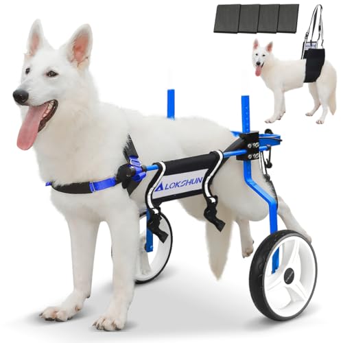 Lokshun Dog Wheelchair for Back Legs Large up to 77lb, Adjustable for Dysplasia & Arthritis Weak Rear Legs Dogs - XXL