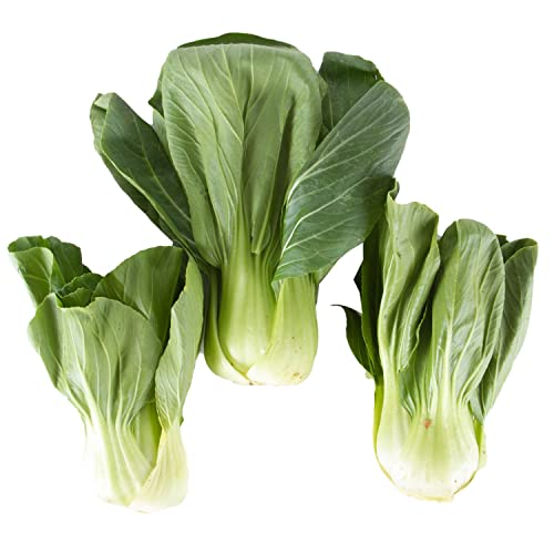 Baby Pakchoi China Pkt
