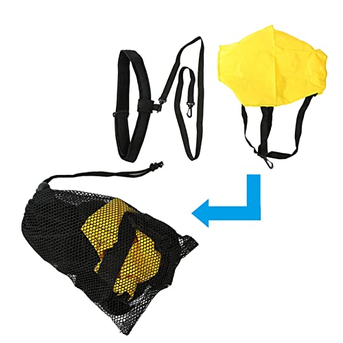 Cinturón de entrenamiento para natación ajustable para adultos y niños miniatura 5